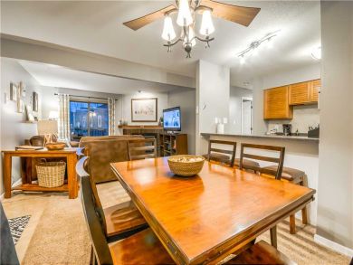 Steamboat Springs Home 927545
