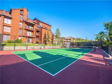 Steamboat Springs Home 927545