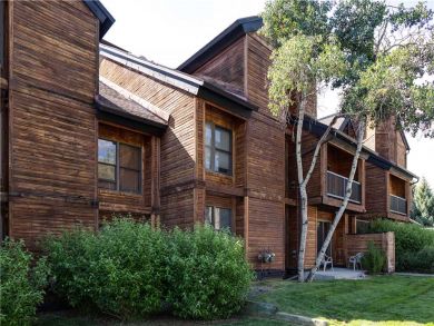 Steamboat Springs Home 927548 Steamboat Springs Home 927548