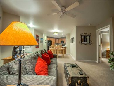 Steamboat Springs Home 927551