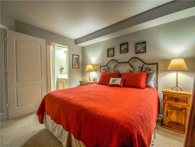 Steamboat Springs Home 927551