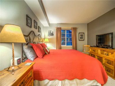Steamboat Springs Home 927551