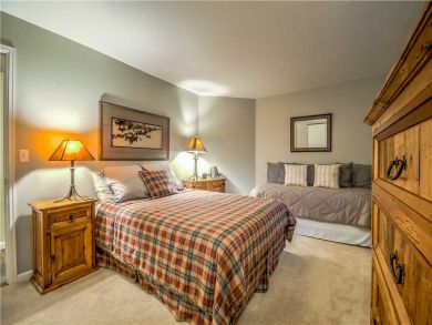 Steamboat Springs Home 927551