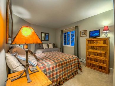 Steamboat Springs Home 927551