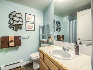 Steamboat Springs Home 927551