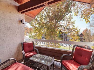 Steamboat Springs Home 927552