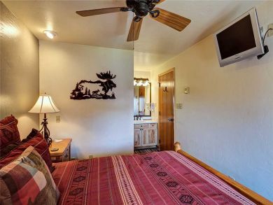 Steamboat Springs Home 927552