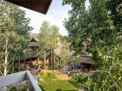 Steamboat Springs Home 927552