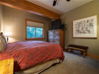 Steamboat Springs Home 927553