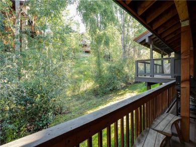 Steamboat Springs Home 927553