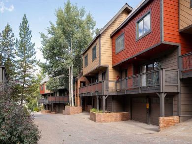 Steamboat Springs Home 927553