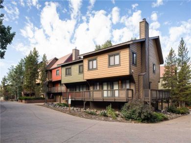 Steamboat Springs Home 927553