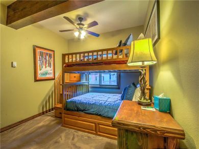 Steamboat Springs Home 927554