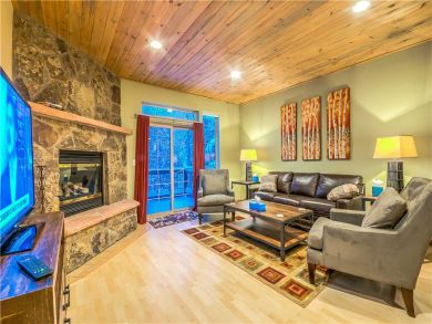 Steamboat Springs Home 927555
