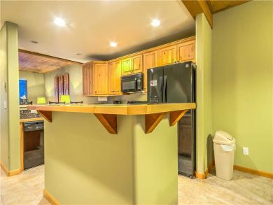 Steamboat Springs Home 927555