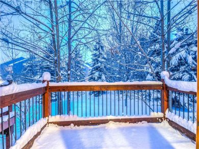 Steamboat Springs Home 927555
