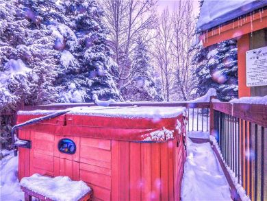 Steamboat Springs Home 927555