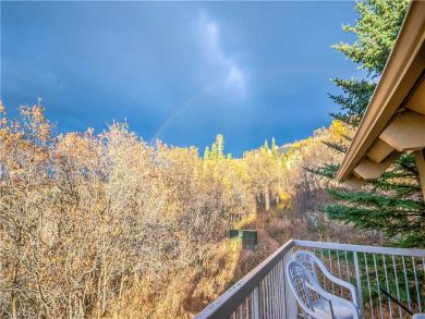 Steamboat Springs Home 927559 Steamboat Springs Home 927559
