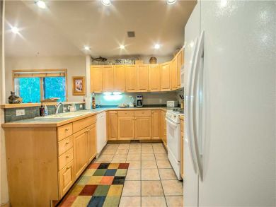 Steamboat Springs Home 927560