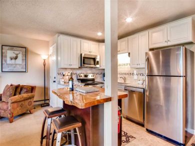 Steamboat Springs Home 927561