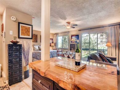 Steamboat Springs Home 927561