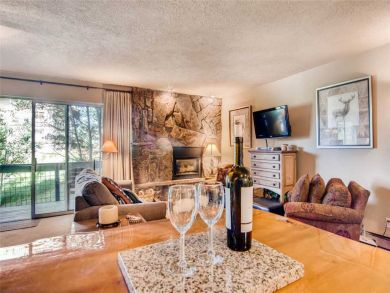 Steamboat Springs Home 927561