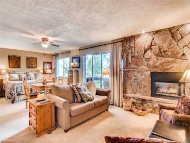 Steamboat Springs Home 927561