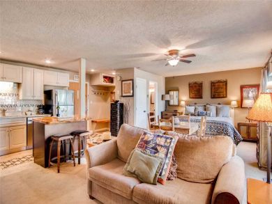 Steamboat Springs Home 927561
