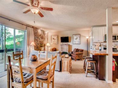Steamboat Springs Home 927561