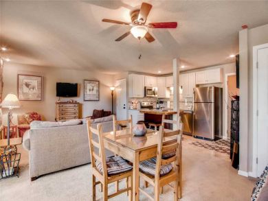 Steamboat Springs Home 927561