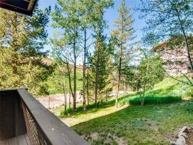 Steamboat Springs Home 927561