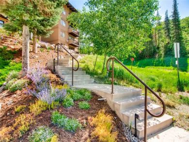 Steamboat Springs Home 927561