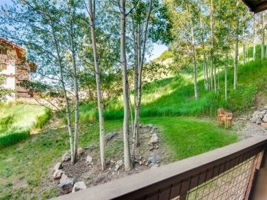 Steamboat Springs Home 927561