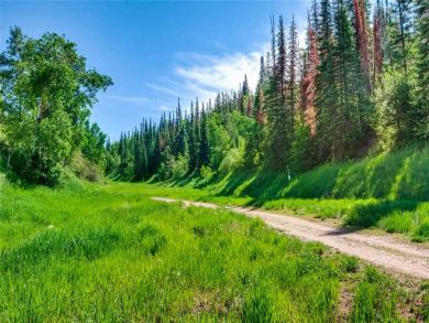 Steamboat Springs Home 927561