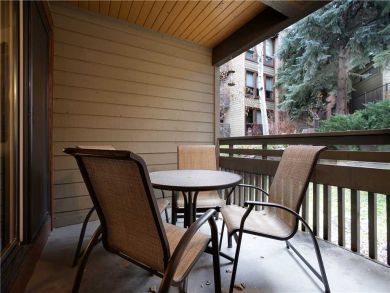 Steamboat Springs Home 927563