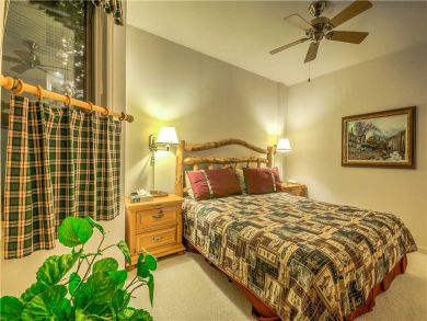 Steamboat Springs Home 927564