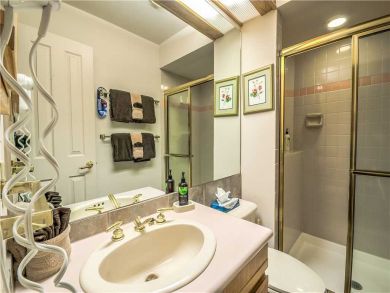 Steamboat Springs Home 927564