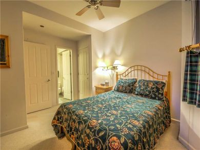 Steamboat Springs Home 927564