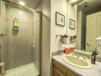 Steamboat Springs Home 927564