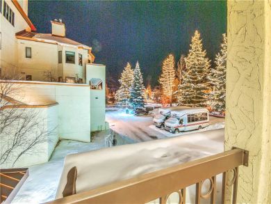 Steamboat Springs Home 927564