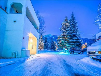 Steamboat Springs Home 927564