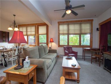Steamboat Springs Home 927565
