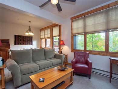 Steamboat Springs Home 927565