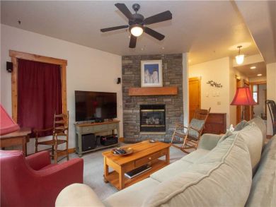 Steamboat Springs Home 927565