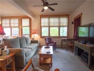 Steamboat Springs Home 927565
