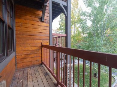 Steamboat Springs Home 927565