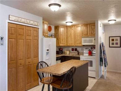 Steamboat Springs Home 927568 Steamboat Springs Home 927568