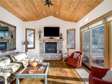 Steamboat Springs Home 927572