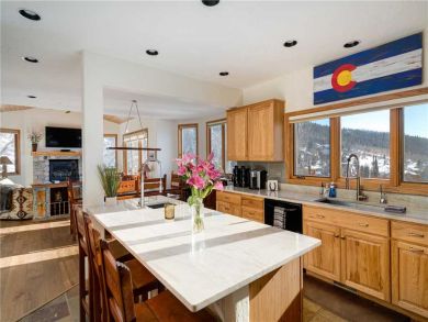 Steamboat Springs Home 927572