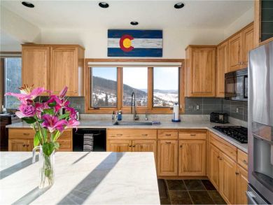 Steamboat Springs Home 927572
